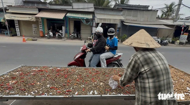 Sun-dried spicy freshwater clams: Vietnam’s Mekong Delta delicacy winning fans online - Ảnh 1.