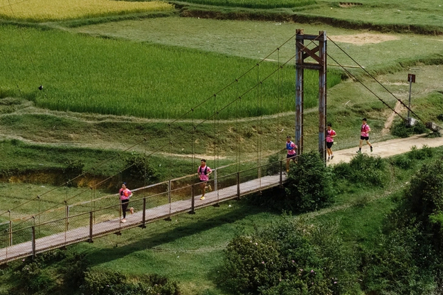 Vietnam seeks globally recognized sporting events to boost sports tourism - Ảnh 2.