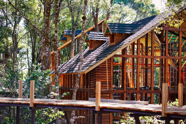 Mang Den treehouse in central Vietnam nominated for 2026 Best Tourism Villages award - Ảnh 5.