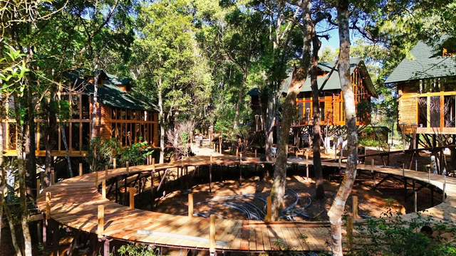 Mang Den treehouse in central Vietnam nominated for 2026 Best Tourism Villages award - Ảnh 6.