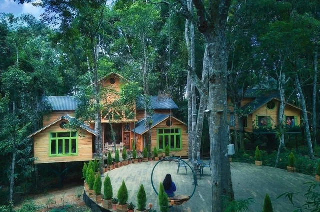 Mang Den treehouse in central Vietnam nominated for 2026 Best Tourism Villages award - Ảnh 7.