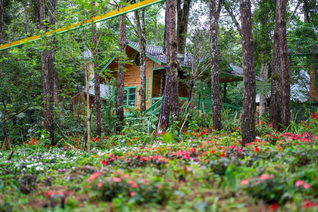 Mang Den treehouse in central Vietnam nominated for 2026 Best Tourism Villages award - Ảnh 8.