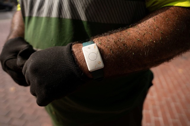 Barcelona introduces heat-monitoring bracelets for its outdoor workers - Ảnh 1.