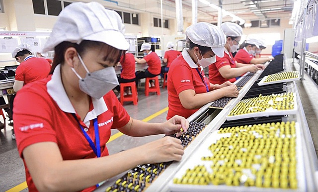 Vietnam’s small businesses squeezed by green transition- Ảnh 1.
