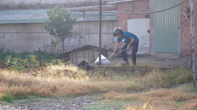 Ho Chi Minh City’s most populous ward launches crackdown on stray dogs - Ảnh 2.