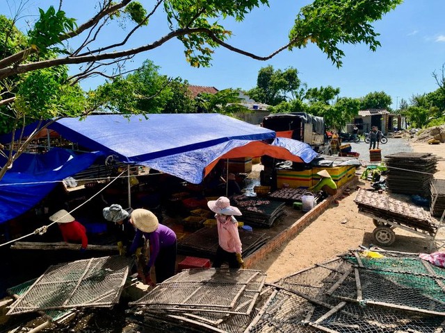 Foul odor from squid processing taints Vietnam's scenic coastal road- Ảnh 1.