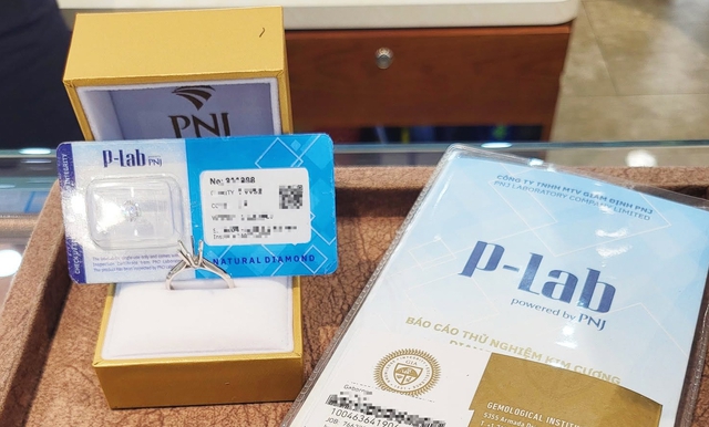 Vietnamese jeweler PNJ comes under pressure after ex-subsidiary chief charged in transnational diamond smuggling case- Ảnh 7.