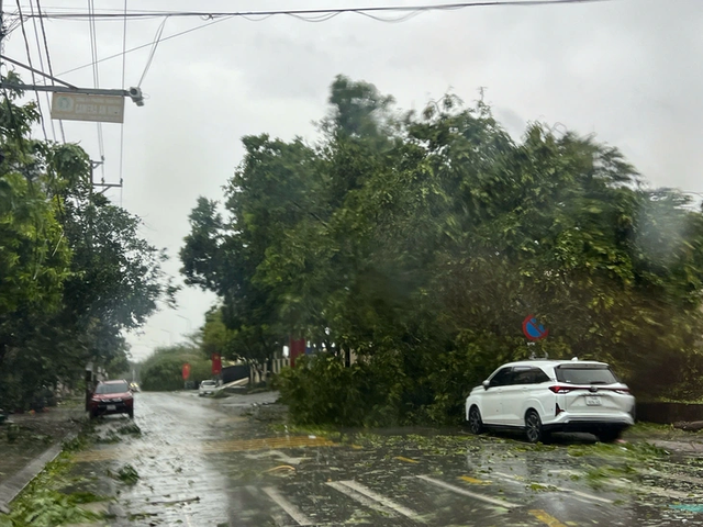 Storm Maysak wreaks havoc in Vietnam’s Mong Cai - Ảnh 2.