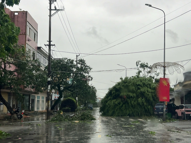 Storm Maysak wreaks havoc in Vietnam’s Mong Cai - Ảnh 4.
