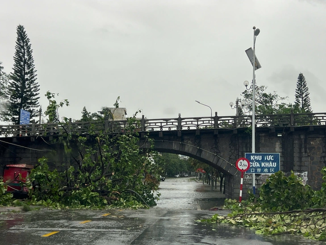 Storm Maysak wreaks havoc in Vietnam’s Mong Cai - Ảnh 5.