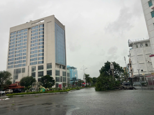 Storm Maysak wreaks havoc in Vietnam’s Mong Cai - Ảnh 8.