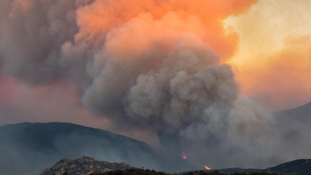 Thousands flee raging wildfires in southern Europe - Ảnh 1.