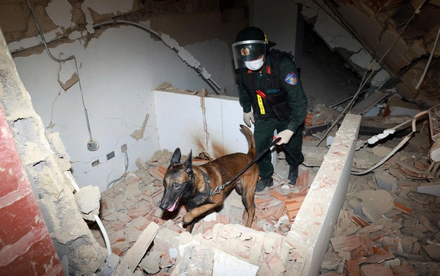 Vietnam answers the call: A growing commitment to global humanitarian relief - Ảnh 3.