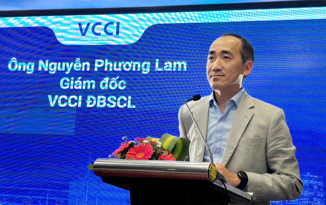 Large firms account for just 0.9% of enterprises in Vietnam’s Mekong Delta - Ảnh 1.