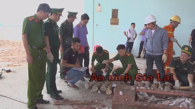 Vietnam seizes 1.1 tons of ivory smuggled from Africa - Ảnh 1.