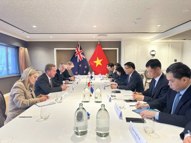 Vietnam-New Zealand: FTAs open the door to new supply chains - Ảnh 2.