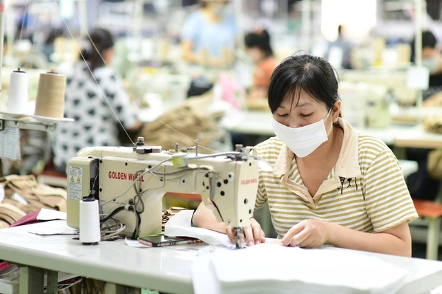 Vietnam exporters urge urgent action over certificate of origin issuance delays- Ảnh 1.