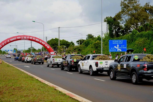More than 500 durian pickup trucks set Guinness World Record in Vietnam- Ảnh 2.