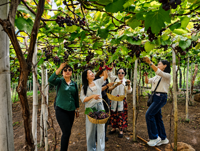 Ho Chi Minh City strengthens regional tourism links - Ảnh 2.