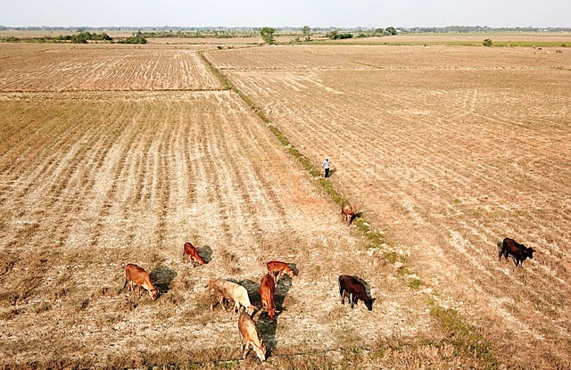 Vietnam told to prepare for high-risk scenario as El Nino strengthens - Ảnh 1.