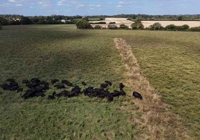 As Europe bakes, momentum grows for climate-resilient farming - Ảnh 2.