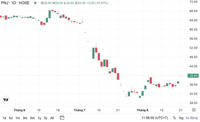 Vietnamese jeweler PNJ shares hit ceiling after diamond smuggling case update - Ảnh 1.