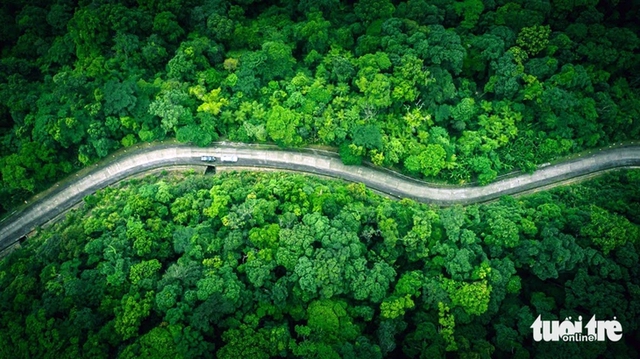 Vietnam’s carbon market takes shape, but real test lies beyond trading- Ảnh 1.