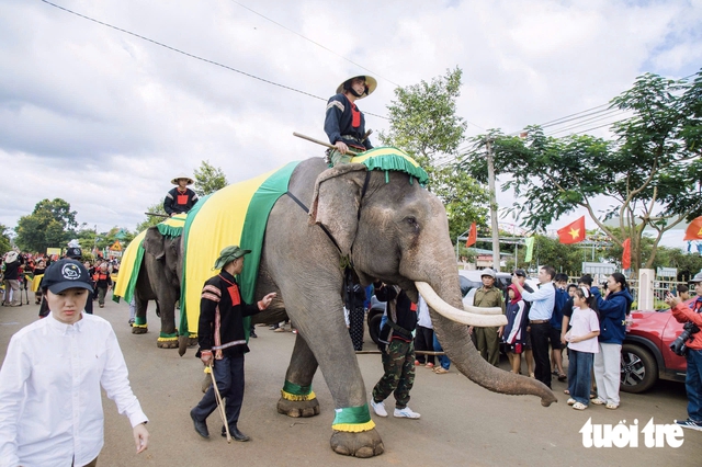 Elephants escort ‘Durian Queen’ at festival in Vietnam’s Central Highlands - Ảnh 1.