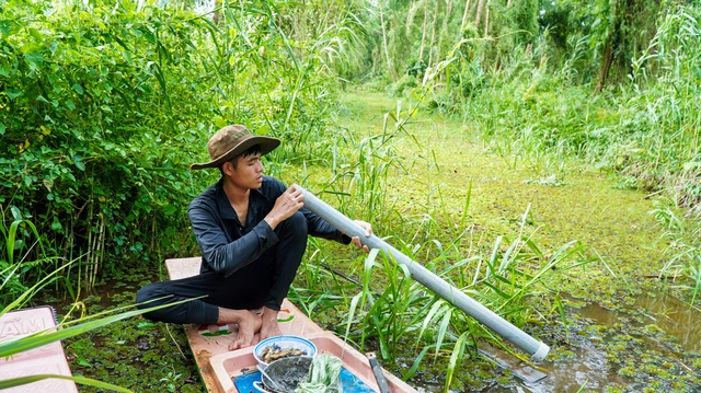 Vietnam's Ca Mau forest workers earn over $76 daily from catching eels - Ảnh 3.