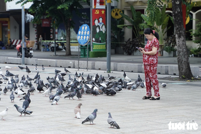 Pigeons bring touch of peace to downtown Ho Chi Minh City- Ảnh 3.
