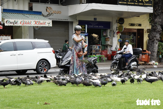 Pigeons bring touch of peace to downtown Ho Chi Minh City- Ảnh 6.