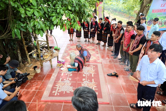 Into the Truong Son mountains to witness the Van Kieu's rice-sowing ritual - Ảnh 5.