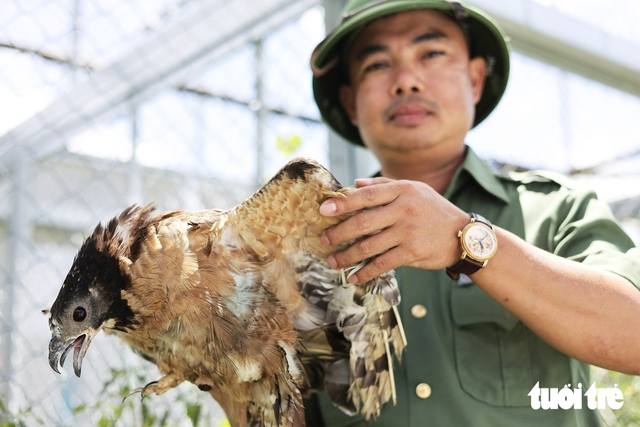A lifelong home for nearly 200 injured wild animals in Vietnam’s Central Highlands- Ảnh 1.