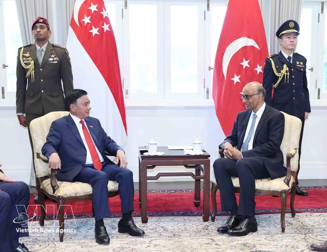 Key Vietnamese leader meets Singaporean President - Ảnh 1.
