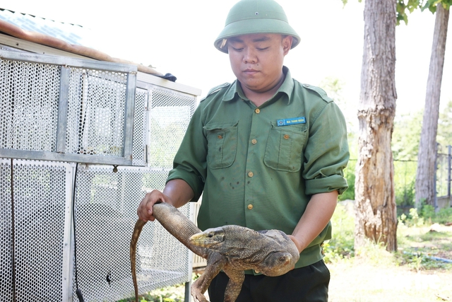 A lifelong home for nearly 200 injured wild animals in Vietnam’s Central Highlands- Ảnh 7.
