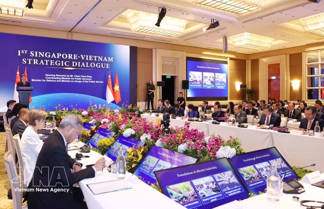 Vietnam, Singapore pursue resilient shared future - Ảnh 2.
