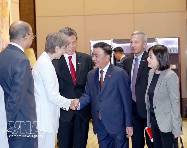 Singapore hosts welcome ceremony for key Party leader Tran Cam Tu- Ảnh 1.