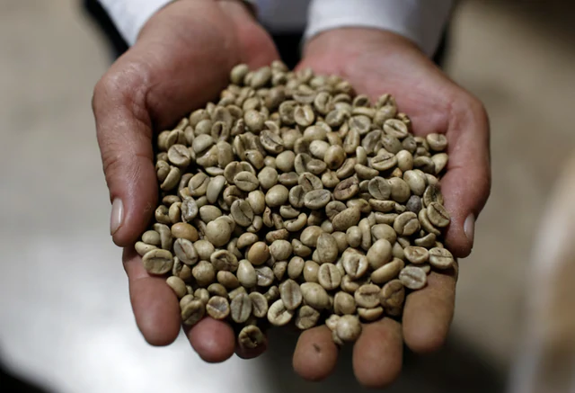 Vietnam’s coffee market set to top $1 billion as value-added products gain ground - Ảnh 1.