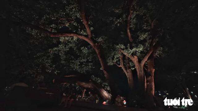 Hoan Kiem Lake’s new light display draws Hanoi visitors for nighttime photos- Ảnh 6.
