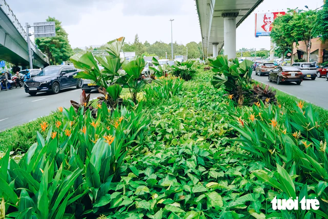 Ho Chi Minh City turns streets, bus stops into 'mini gardens' - Ảnh 1.