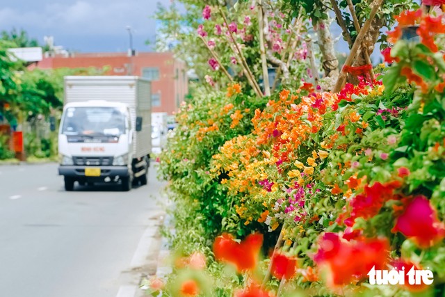 Ho Chi Minh City turns streets, bus stops into 'mini gardens' - Ảnh 2.