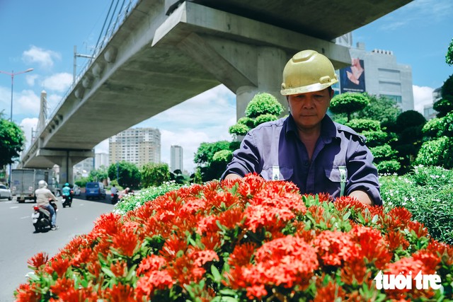 Ho Chi Minh City turns streets, bus stops into 'mini gardens' - Ảnh 3.