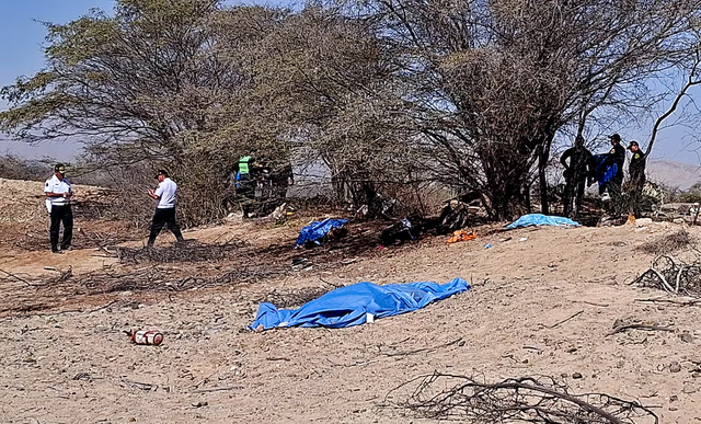 Thirteen die in tourist plane crash over Peru's Nazca Lines- Ảnh 1.