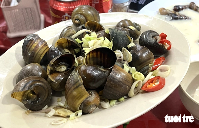 Vietnam’s Nha Trang offers budget-friendly snail feast, spectacular sunset views- Ảnh 1.