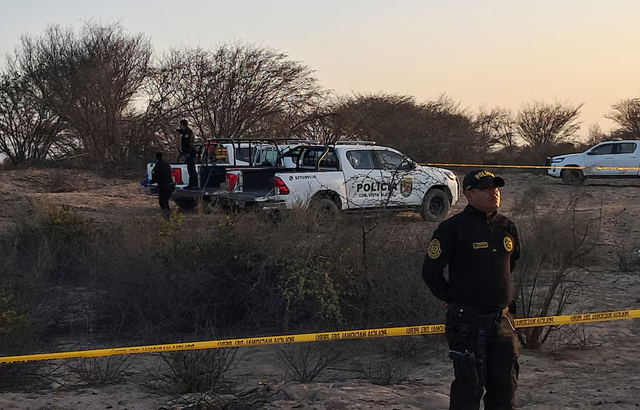 Thirteen die in tourist plane crash over Peru's Nazca Lines- Ảnh 2.