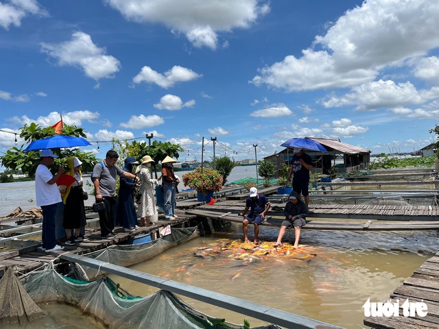 River life, garden treats, chocolate making in Vietnam's Can Tho charm local, int'l visitors - Ảnh 3.