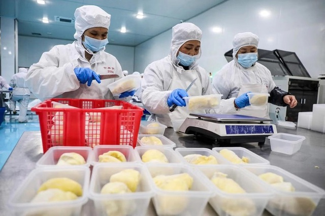 Can India ignite a durian boom for Vietnam? Industry data vs. on-the-ground realities - Ảnh 1.