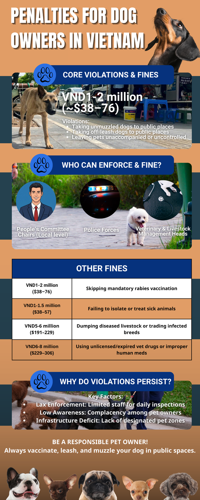 Infographic: Penalties for dog owners who take unmuzzled or unleashed dogs into public places in Vietnam - Ảnh 1.