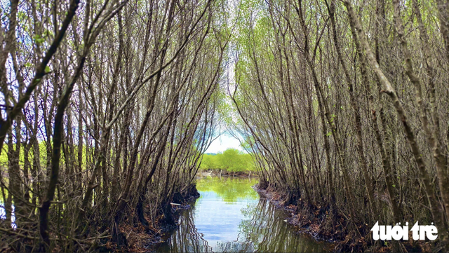 A slice of Mekong Delta hidden in Quang Ngai’s billion-dollar industrial hub - Ảnh 3.