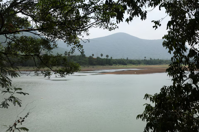 Google’s $15 billion India data centre project battles water, wildlife concerns - Ảnh 3.